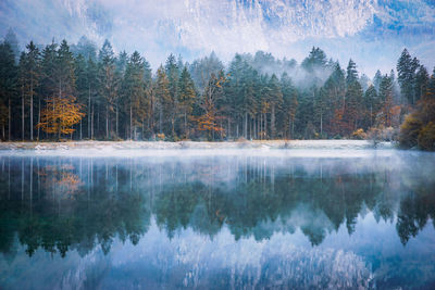 Scenic view of lake in forest during autumn