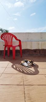 View of a horse on the floor against sky