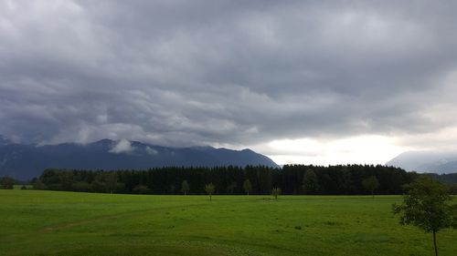 Scenic view of field against sky