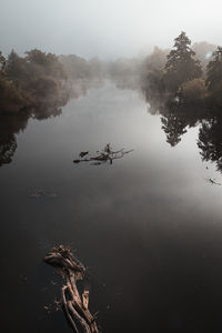 High angle view of lake by trees against sky