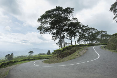 Empty road amidst trees against sky