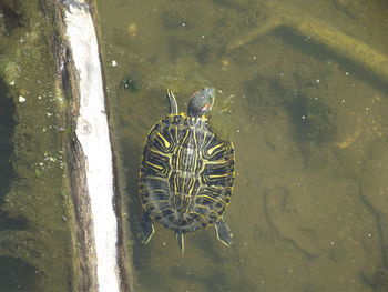 Close-up of water