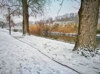 Bare trees on snow covered landscape