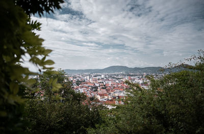 High angle view of trees and buildings in city