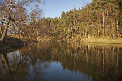 Scenic view of lake in forest against sky