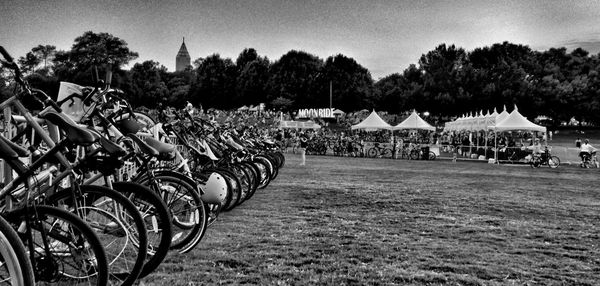 View of trees against sky