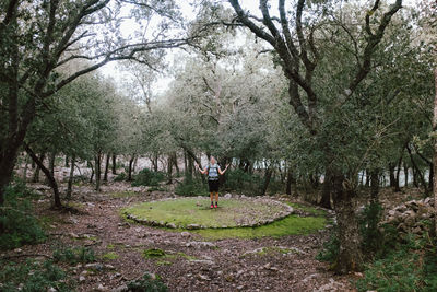 Man standing by trees in forest
