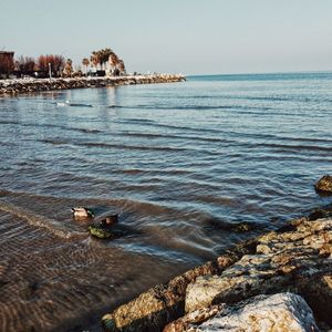 Scenic view of sea against clear sky