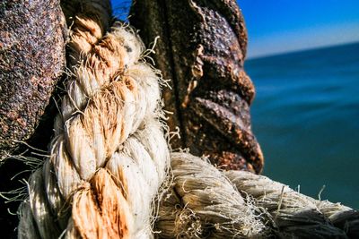 Close-up of fishing net on shore