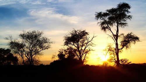 Silhouette trees against sky during sunset