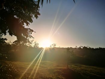 Sunlight streaming through trees on field against sky at sunset