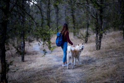 Dog walking on street amidst trees in forest