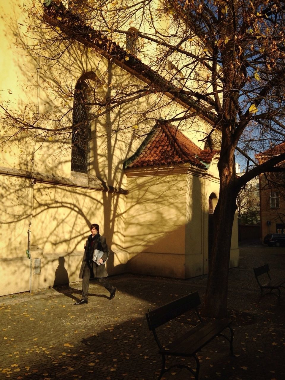 building exterior, architecture, built structure, bare tree, tree, sunlight, branch, house, shadow, outdoors, city, sky, silhouette, day, residential structure, sunset, building, window