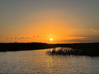 Scenic view of water and birds against sky during sunset