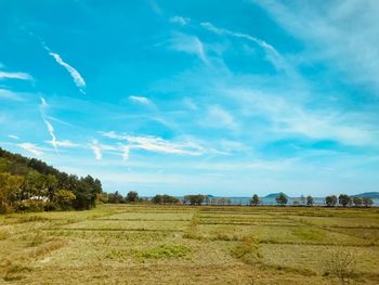 Scenic view of farm against sky