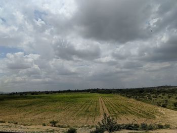 Scenic view of agricultural field against sky