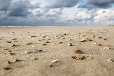 Surface level of sand on beach against sky