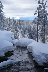 Scenic view of snow covered mountains