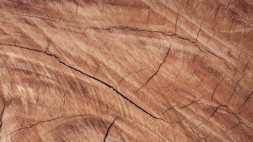 Textures on wood - wood texture - wooden backgrounds - bg background