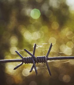 Razor wire 