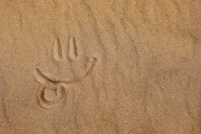 Full frame shot of sand