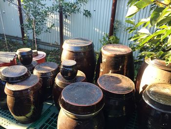 Potted plants on table