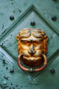 Close-up of turtle on door