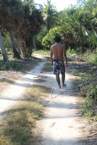 Rear view of man walking on beach