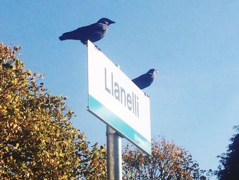 Low angle view of road sign against clear blue sky