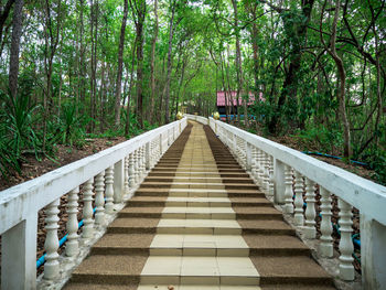 View of bridge in forest