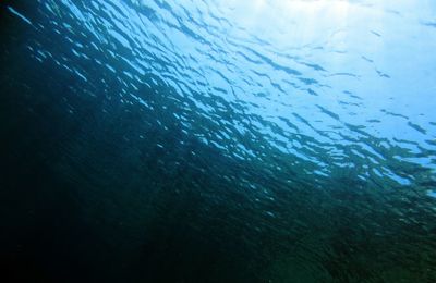 Full frame shot of water