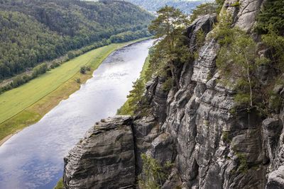 Scenic view of river flowing through forest