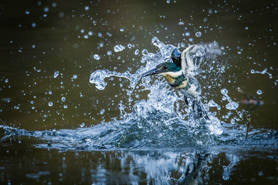 Man splashing water in lake