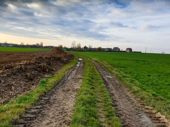 Scenic view of agricultural field against sky