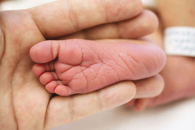 Hand holding a newborn baby foot