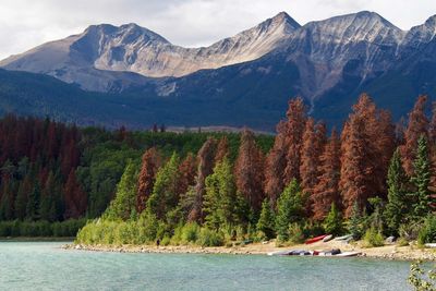 Scenic view of trees and mountains against sky