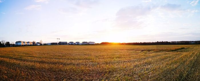 Scenic view of field against sky during sunset