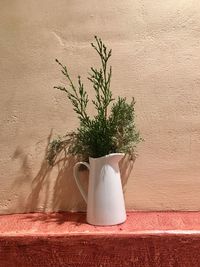 Potted plant against wall