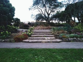 Steps by trees against sky