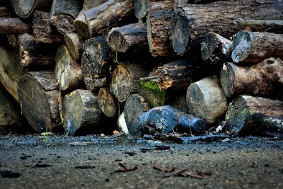 Stack of logs