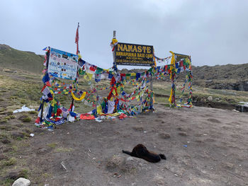 Annapurna base camp himalayas nepal juni 2019
