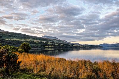 Scenic view of lake surrounded by trees against cloudy sky