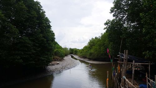 Scenic view of river amidst trees against sky