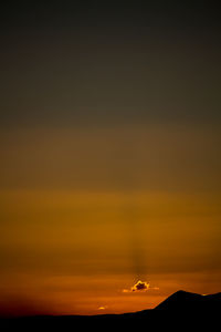 Silhouette of trees at sunset