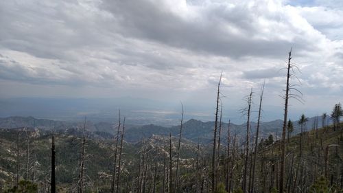 Scenic view of landscape against cloudy sky