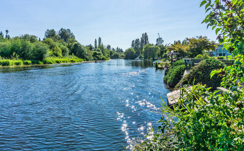 A view from along the sammamish river in washington state.