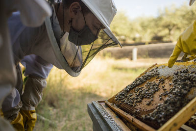 Unrecognizable crop beekeepers in protective gloves standing near hive with honeycomb and bees in apiary