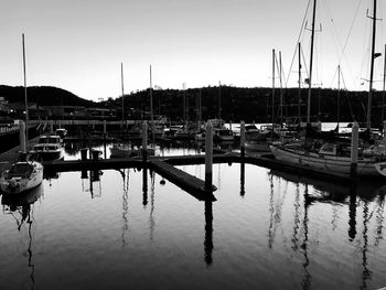 Sailboats moored at harbor against clear sky