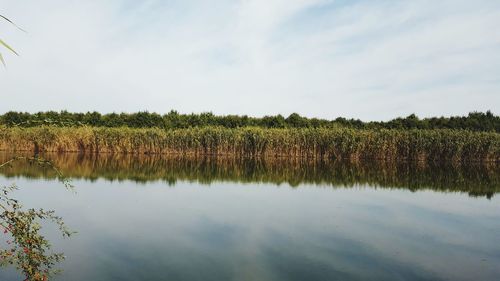 Scenic view of calm lake against sky