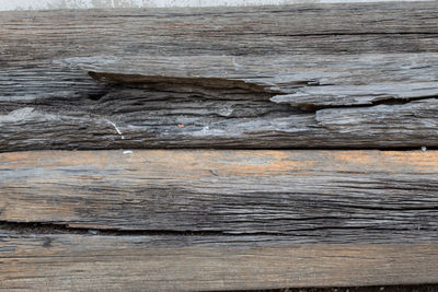 Close-up of wood on rock